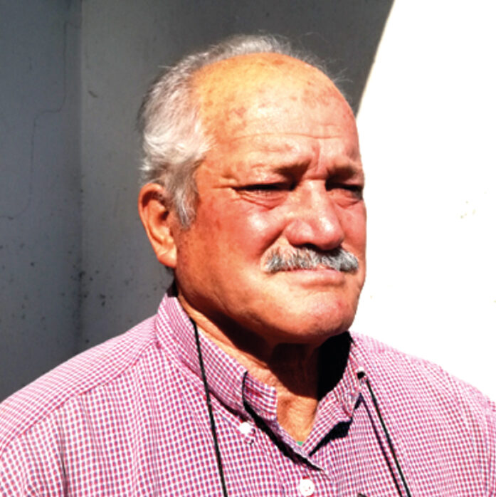 Sestino Molinaro-image